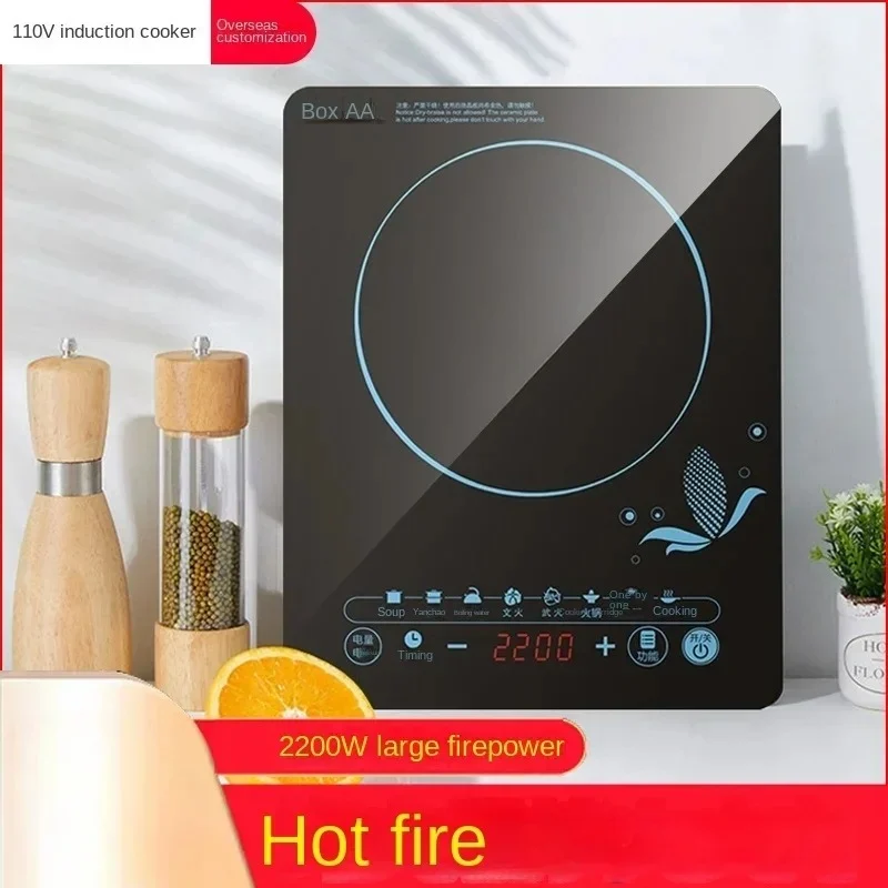 Olla eléctrica de inducción de - Kitchen Appliances In Japanese reseña y precio